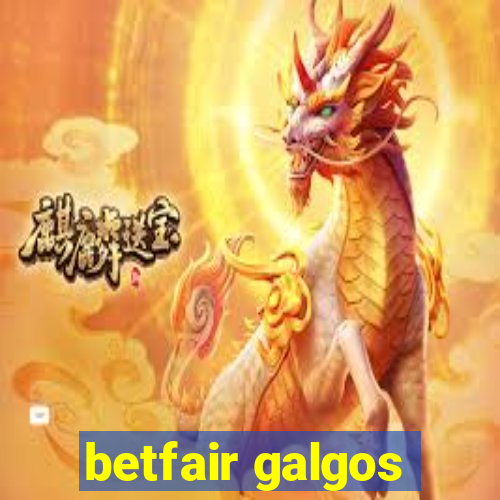 betfair galgos